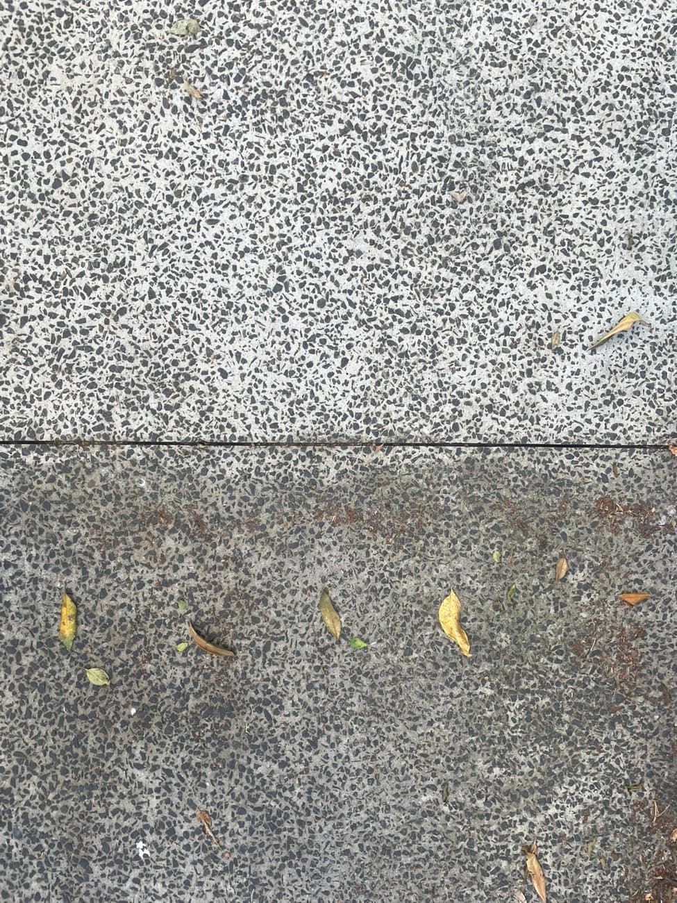 Exposed aggregate path, cleaned top half bright and grey, untouched bottom half dark and stained.